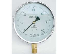 净水设备用压力表